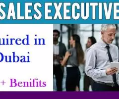 Sales Executive Required in Dubai