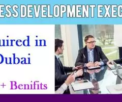 Business Development Executive Required in Dubai