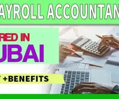 Payroll Accountant Required in Dubai