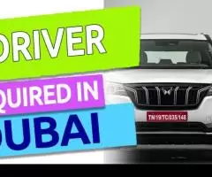 Driver Required in Dubai