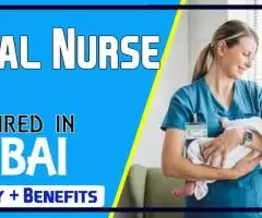 Fetal Nurse Required in Dubai