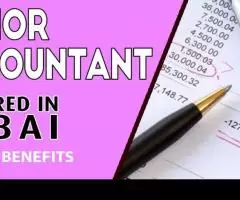 Junior Accountant Required in Dubai