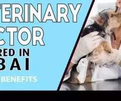 Veterinary Doctor Required in Dubai