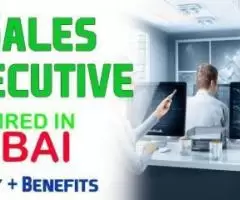 IT Sales Executive Required in Dubai