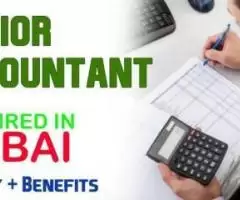 Senior Accountant Required in Dubai