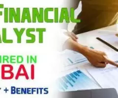 Sr Financial Analyst Required in Dubai