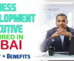 Business Development Executive Required in Dubai