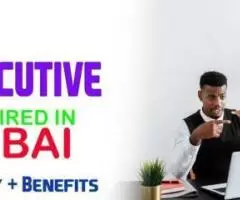 HR Executive Required in Dubai