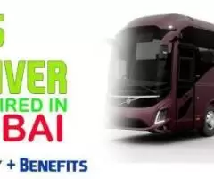 Bus Driver Required in Dubai