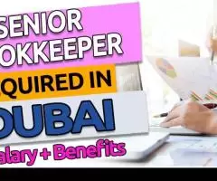 Senior Bookkeeper Required in Dubai