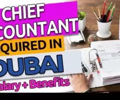 Chief Accountant Required in Dubai