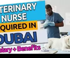 Veterinary Nurse Required in Dubai