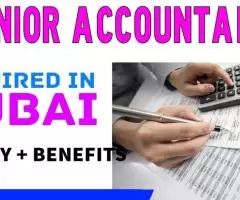 Junior Accountant Required in Dubai