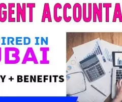 Urgent Accountant Required in Dubai