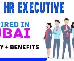 HR EXECUTIVE Required in Dubai