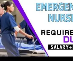 Emergency Nurse Required in Dubai