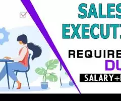 Sales Executive Required in Dubai