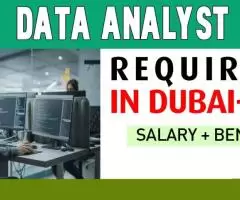 Data Analyst Required in Dubai