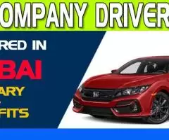 Company Driver Required in Dubai