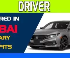 Driver Required in Dubai