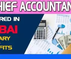 Chief Accountant Required in Dubai