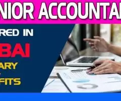 Senior Accountant Required in Dubai