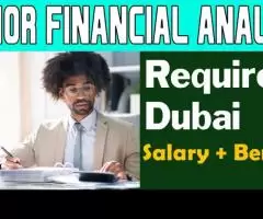 Senior Financial Analyst Required in Dubai