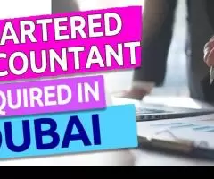 Chartered Accountant Required in Dubai