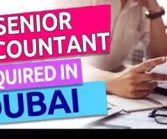 Senior Accountant Required in Dubai