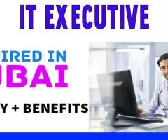 IT Executive/ Required in Dubai