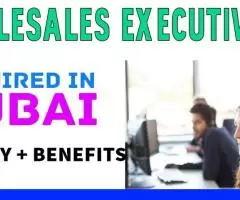 Telesales Executive Required in Dubai