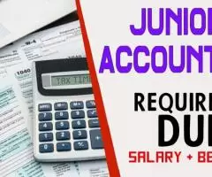 Junior Accountant Required in Dubai