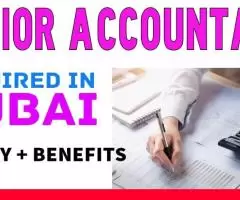 Junior Accountant Required in Dubai