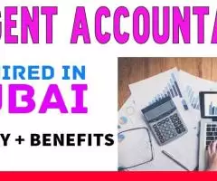 Urgent Accountant Required in Dubai