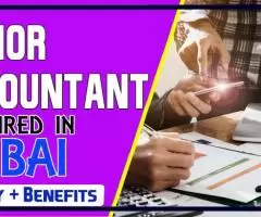 Junior Accountant Required in Dubai