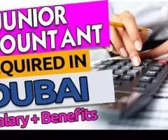 Junior Accountant Required in Dubai