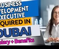 Business Development Executive Required in Dubai