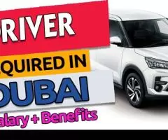 Driver Required in Dubai