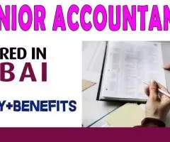 Senior Accountant Required in Dubai