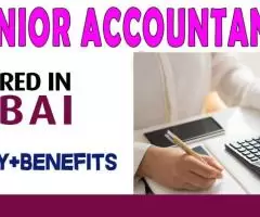 Junior Accountant Required in Dubai