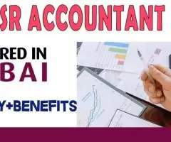 Sr Accountant Required in Dubai