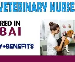 Veterinary Nurse Required in Dubai