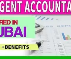 Urgent Accountant Required in Dubai