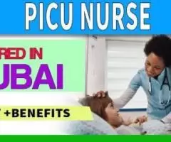 PICU Nurse Required in Dubai