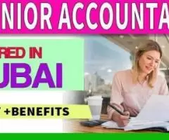 Junior Accountant Required in Dubai