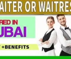 Waiter or Waitress Required in Dubai