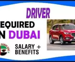 Driver Required in Dubai