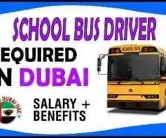 School Bus Driver Required in Dubai