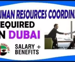 Human Resources Coordinator Required in Dubai