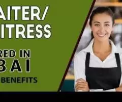 Waiter/Waitress Required in Dubai